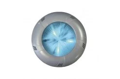 CCEI Nikita Sierplaat