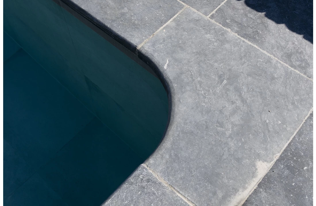 Terato Buitenhoek Asian Blue Afgeronde Neus 6 Terato Buitenhoek Asian Blue Afgeronde Neus - Afbeelding 4