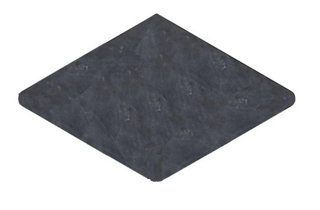 Terato Buitenhoek Asian Blue Afgeronde Neus 3 Terato Buitenhoek Asian Blue Afgeronde Neus